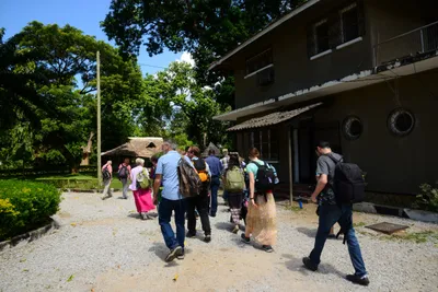 DSC_7858 (Large).JPG